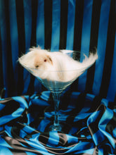 Load image into Gallery viewer, Pin-Up Guinea Pigs Calendar (Collectors Edition)
